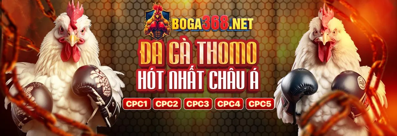 Chương trình VIP 88hello88